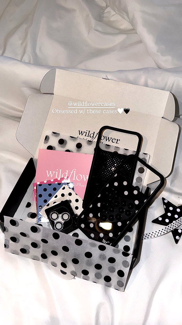 Archived image from @lizzieekim on Instagram
