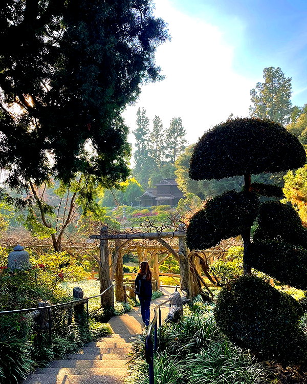 haileylayfield instagram image archive image