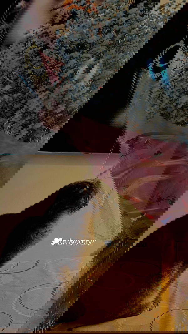 holllly.molly holllly.molly archive image