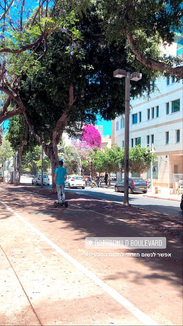 yaelxyazdi instagram image archive image