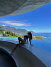 vanessa.rhd Altpins Profile Picture
