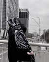 ak1raww Altpins Profile Picture
