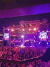 megann_eliizabeth Altpins Profile Picture
