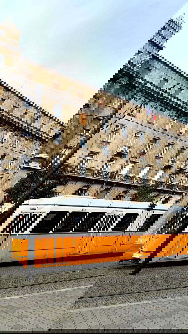 manjolamuriqi manjolamuriqi archive image