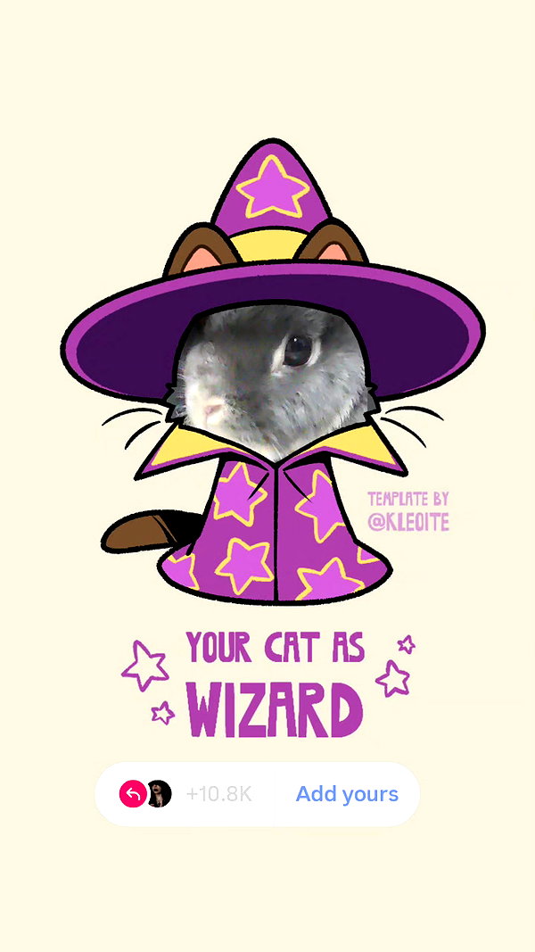 daniella_koosit daniella_koosit archive image