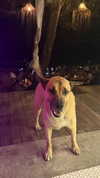 maya.keyy Altpins Profile Picture