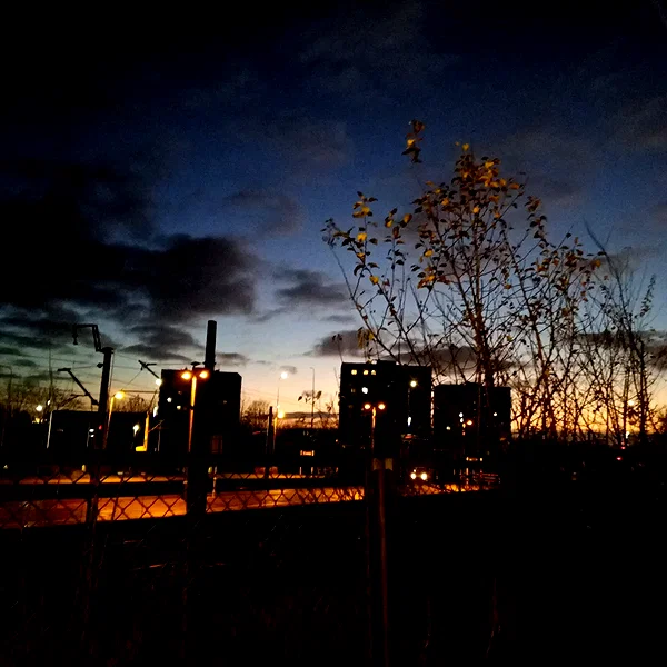 karzelek010 instagram image archive image