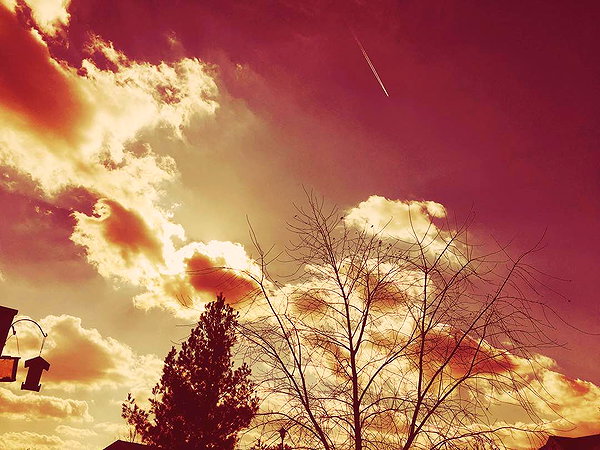 hallucineon instagram image archive image