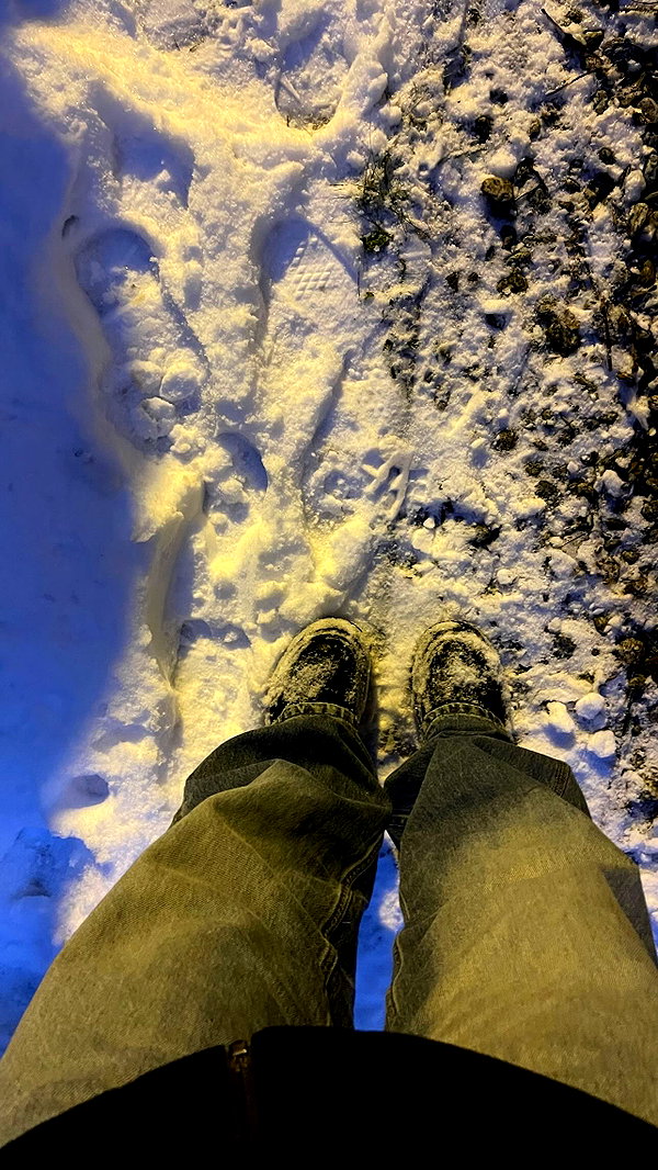 v.e.r.o._.n.i.c.a instagram image archive image