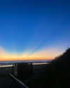 solzarubin_ Altpins Profile Picture