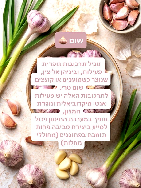 lital.oss instagram image archive image