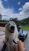 analuvillarreal Altpins Profile Picture