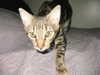 lolontlia Altpins Profile Picture