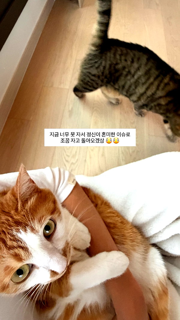 daxbin instagram image archive image