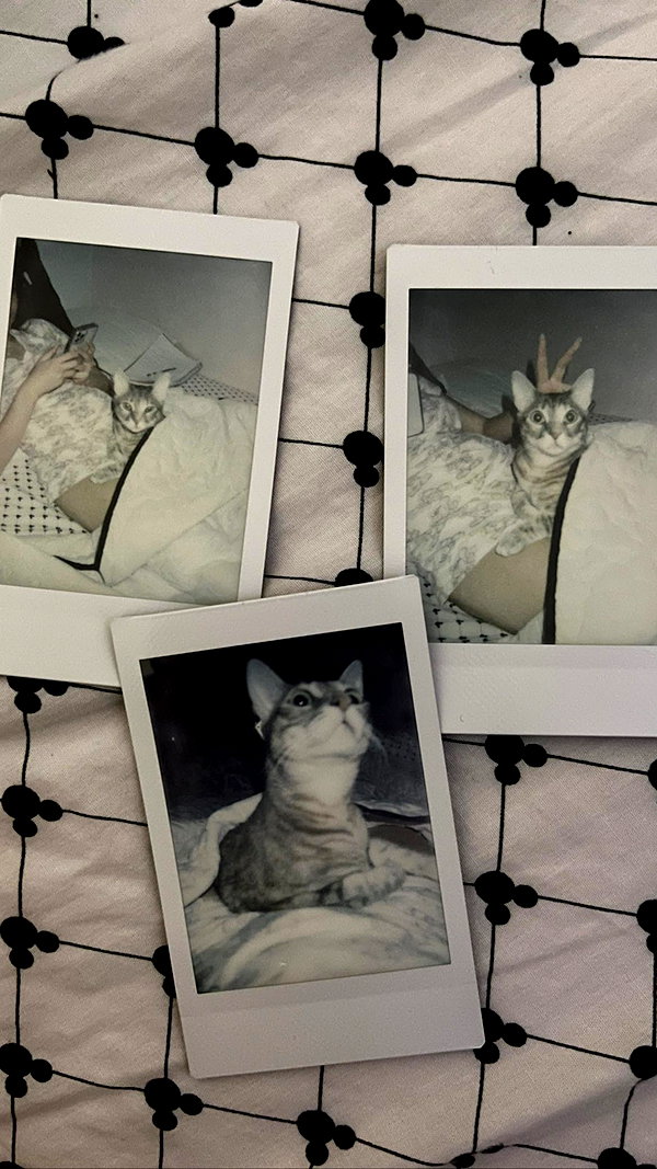 Archived image from @notchicore on Instagram