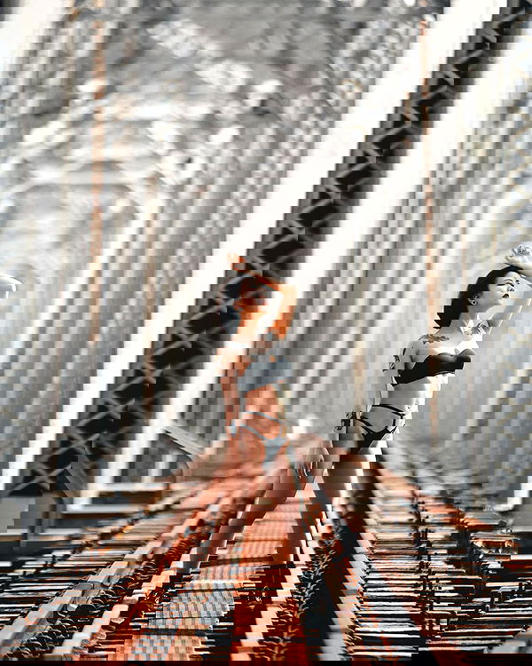 ting851204 ting851204 archive image