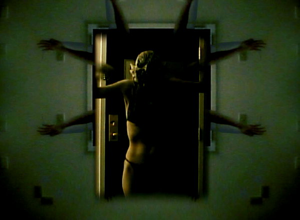 bugz4brainz instagram image archive image