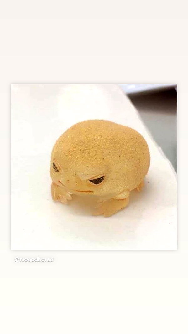 edenleiv instagram image archive image