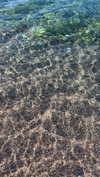 roni_ackerman Altpins Profile Picture
