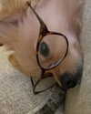 sunnyrayyxo Altpins Profile Picture