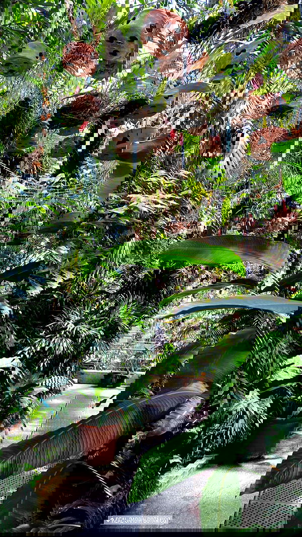 taylor.creeden taylor.creeden archive image