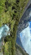 maori_cohen Altpins Profile Picture