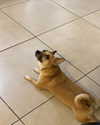 luly1980s Altpins Profile Picture