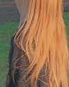 alisen.mari Altpins Profile Picture