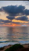 lia_ey99 Altpins Profile Picture
