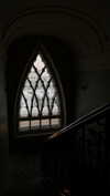vvelum_ Altpins Profile Picture