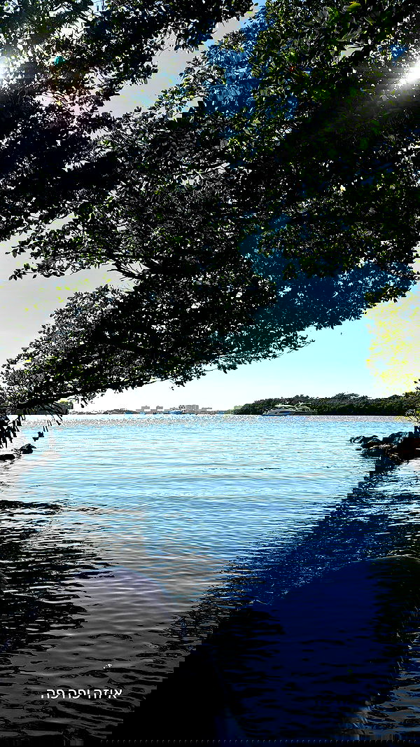 biton__adi biton__adi archive image