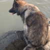 taratornquist Altpins Profile Picture