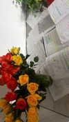 by.diwwa Altpins Profile Picture