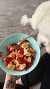 mariacherry_girl Altpins Profile Picture