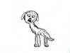 camimendes Altpins Profile Picture