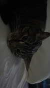 valeria.potti Altpins Profile Picture