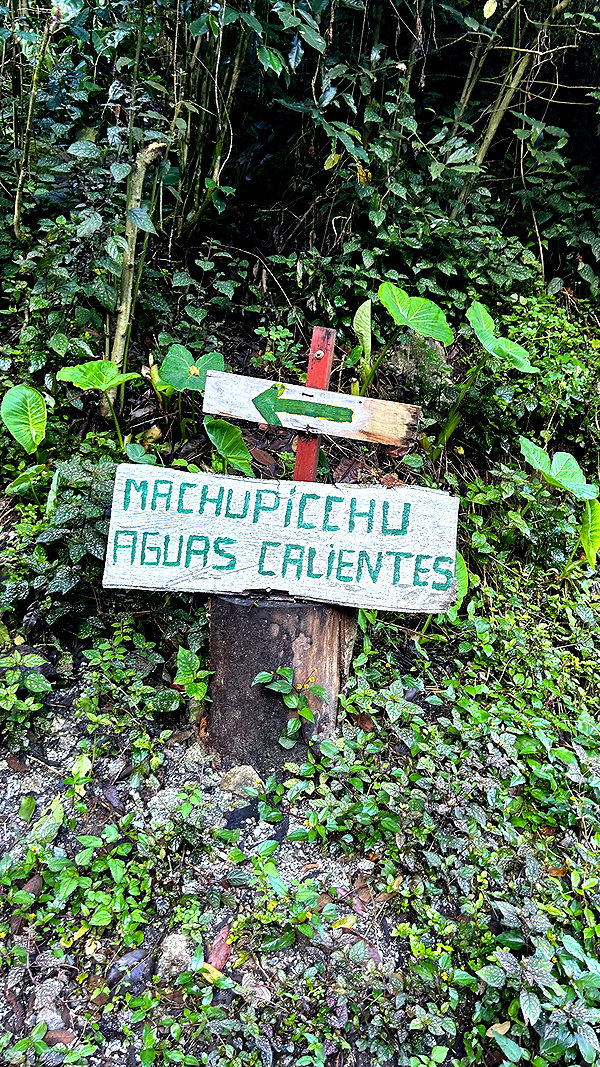 michalcohen___ archive image