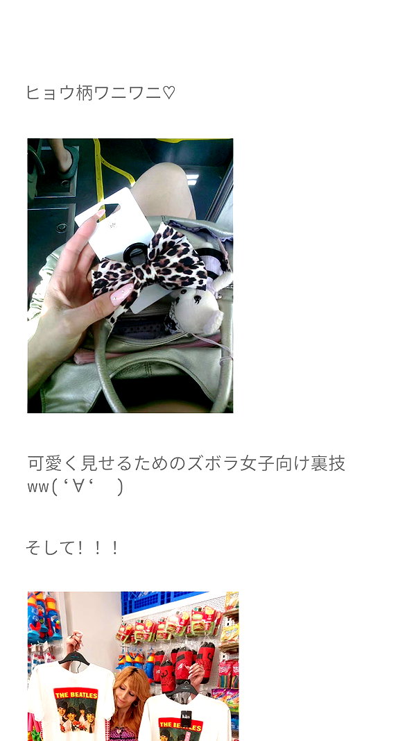 piyokoblog archive image
