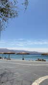 shirakor_ Altpins Profile Picture
