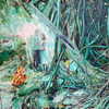 dear.zia Altpins Profile Picture