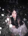 nixqq.425_ Altpins Profile Picture