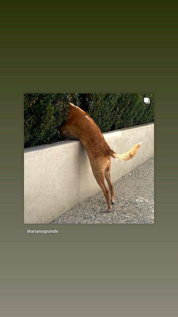 arianagrande instagram image archive image