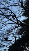 4ure1i2 Altpins Profile Picture