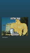 babynympho_archive Altpins Profile Picture