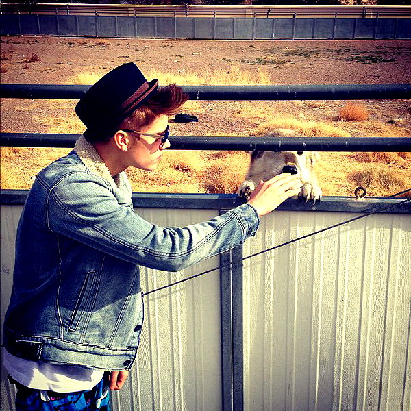 lilbieber instagram image archive image