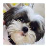 ashleybenson Altpins Profile Picture
