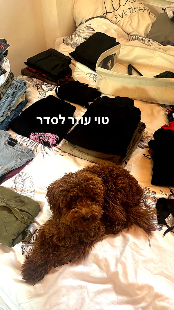 agam._.harel instagram image archive image