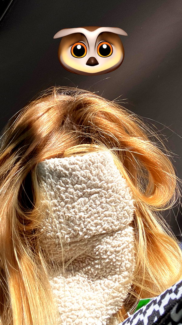 elizabethcampbelljones instagram image archive image
