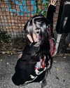 nixqq.425_ Altpins Profile Picture