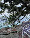 daisy_r_19 Altpins Profile Picture